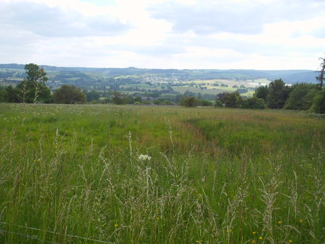 2014hwk 078.jpg